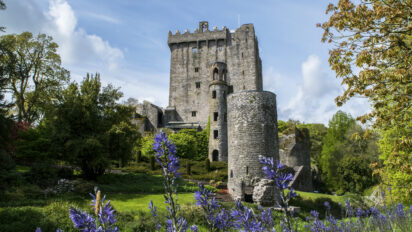 Cork Highlights Day Tour