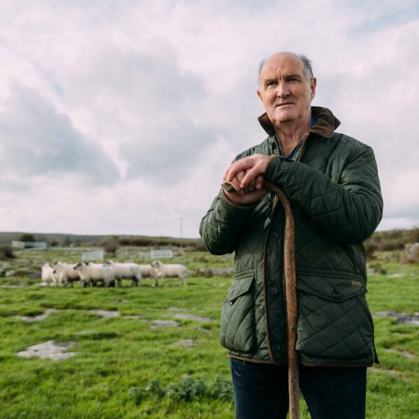 John and his Sheep dogs
