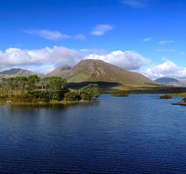 Pine Island, Connemara, Co. Galway